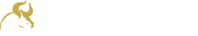 Bull Realty Logo
