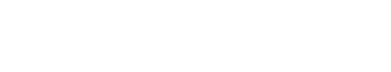 Bull Realty Logo